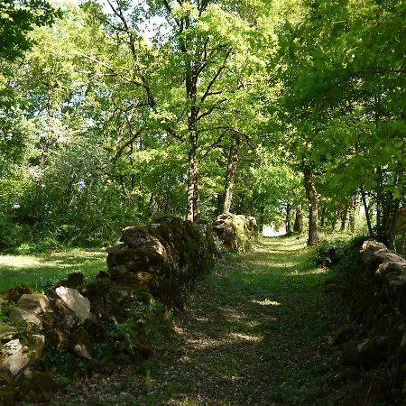 Coutillard Orman Evi