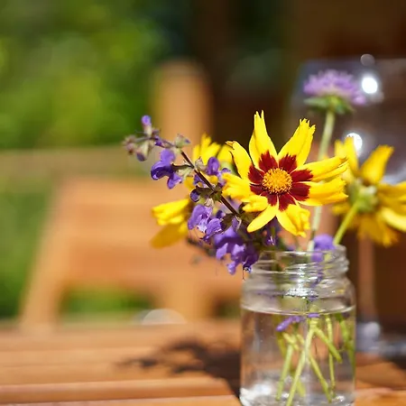 Alojamento de Turismo Selvagem Coutillard